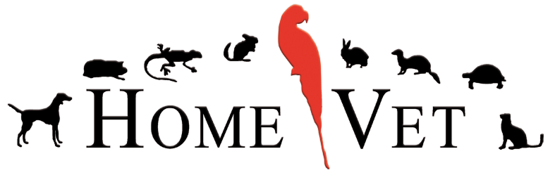 HomeVet-TEMP